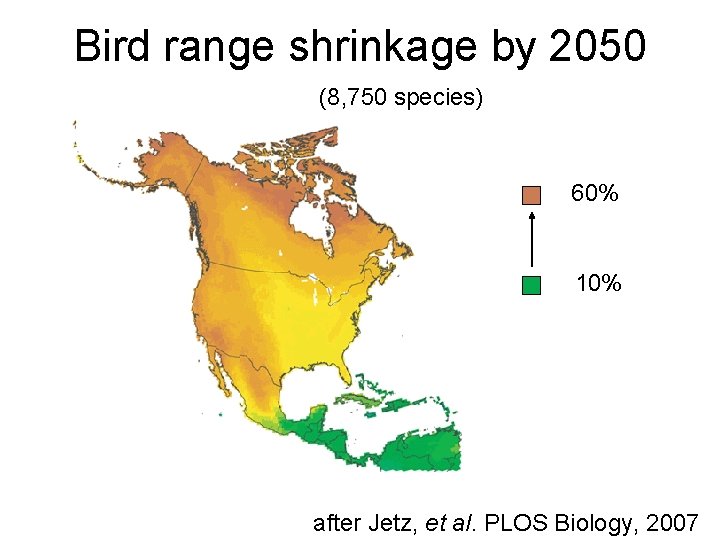 Bird range shrinkage by 2050 (8, 750 species) 60% 10% after Jetz, et al.