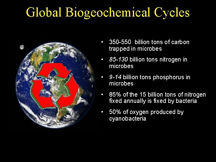 Global Biogeochemical Cycles • 350 -550 billion tons of carbon trapped in microbes •