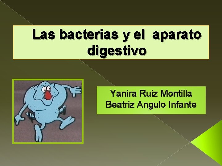 Las bacterias y el aparato digestivo Yanira Ruiz Montilla Beatriz Angulo Infante 