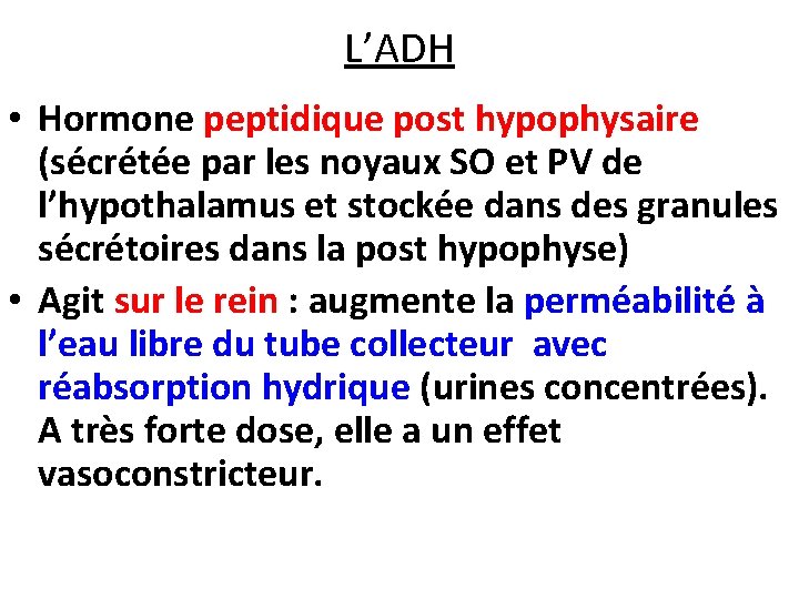 L’ADH • Hormone peptidique post hypophysaire (sécrétée par les noyaux SO et PV de