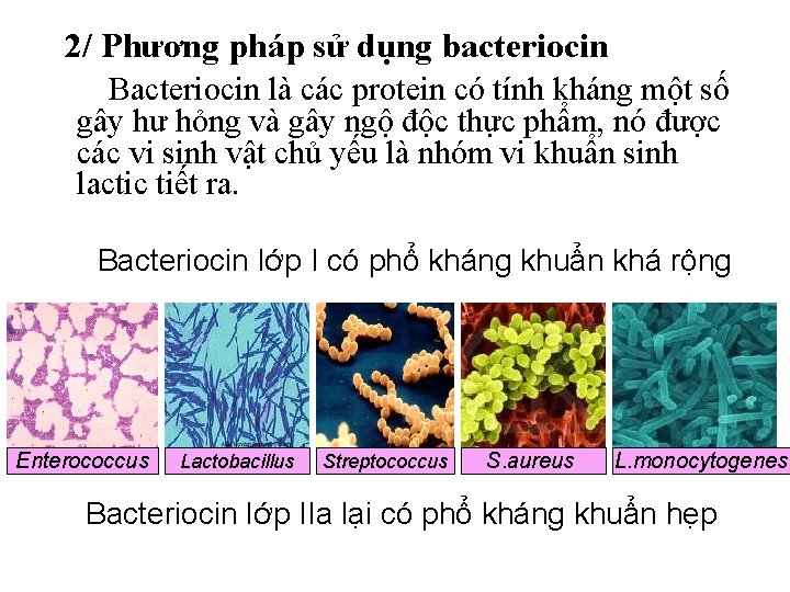 2/ Phương pháp sử dụng bacteriocin Bacteriocin là các protein có tính kháng một