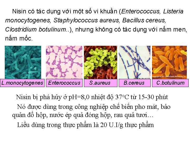 Nisin có tác dụng với một số vi khuẩn (Enterococcus, Listeria monocytogenes, Staphylococcus aureus,