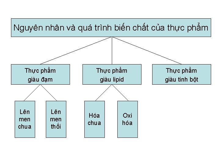 Nguyên nhân và quá trình biến chất của thực phẩm Thực phẩm giàu đạm