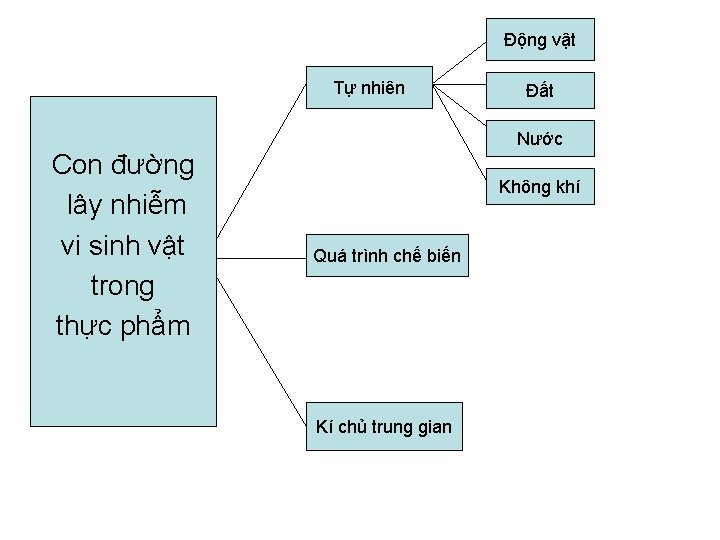 Động vật Tự nhiên Đất Nước Con đường lây nhiễm vi sinh vật trong