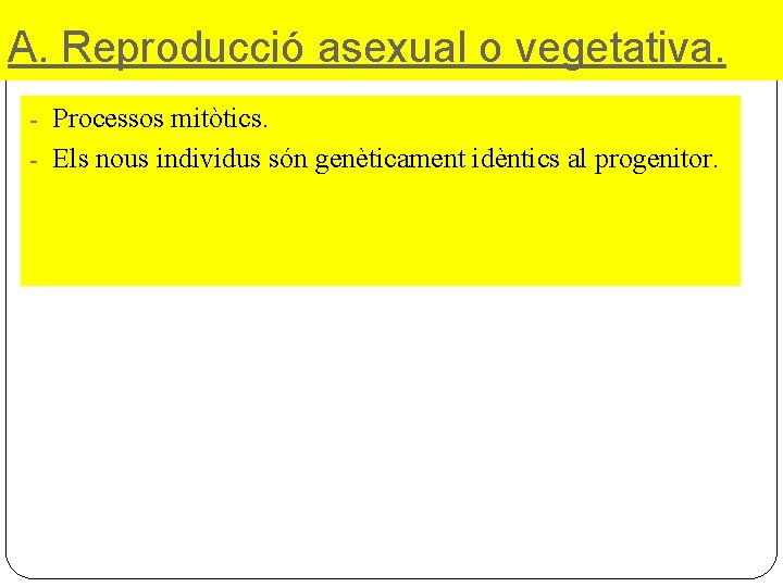 A. Reproducció asexual o vegetativa. - Processos mitòtics. - Els nous individus són genèticament