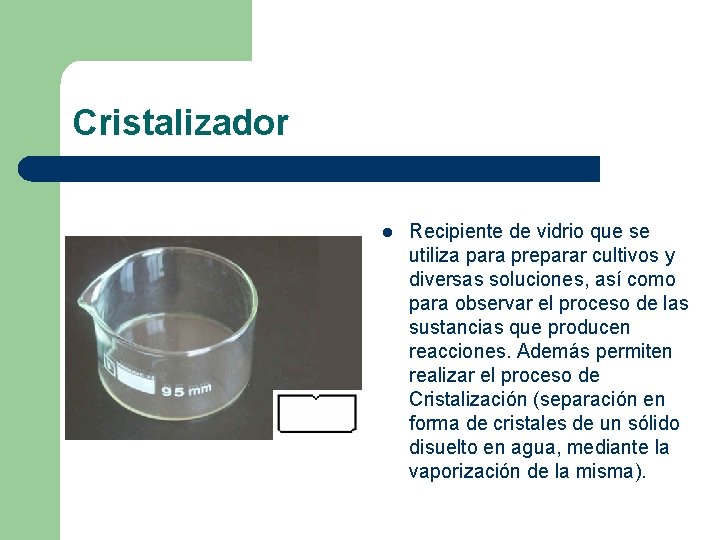 Cristalizador l Recipiente de vidrio que se utiliza para preparar cultivos y diversas soluciones,