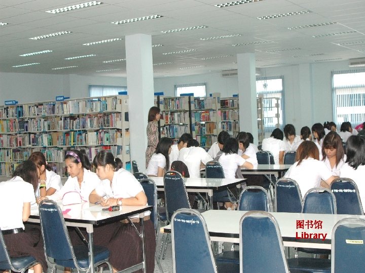 图书馆 Library 