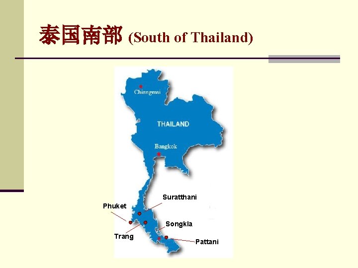 泰国南部 (South of Thailand) Suratthani Phuket Songkla Trang Pattani 泰国南部 (South of Thailand) Suratthani Phuket Songkla Trang Pattani