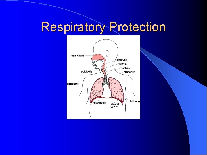 Respiratory Protection 