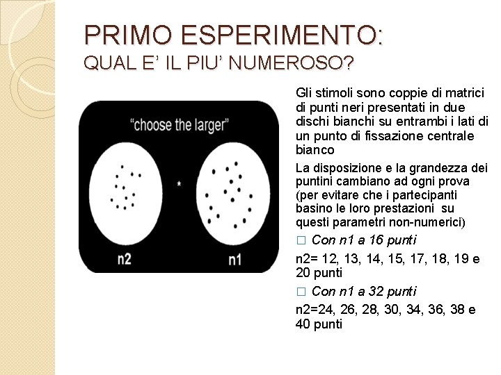 PRIMO ESPERIMENTO: QUAL E’ IL PIU’ NUMEROSO? Gli stimoli sono coppie di matrici di