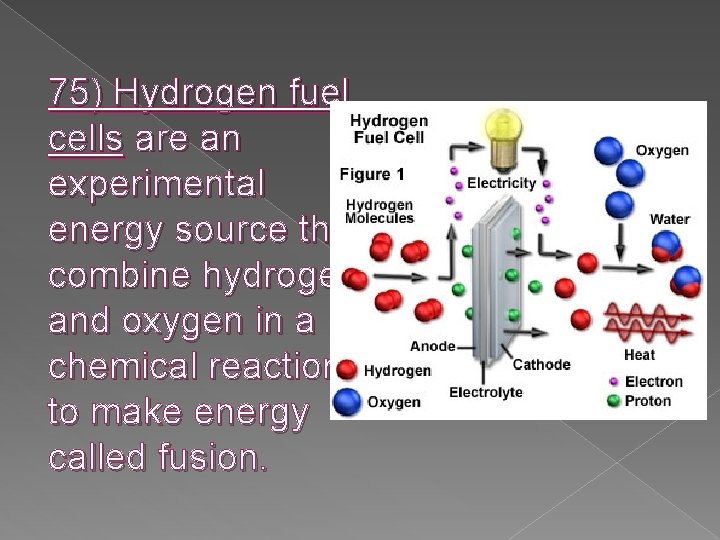 75) Hydrogen fuel cells are an experimental energy source that combine hydrogen and oxygen