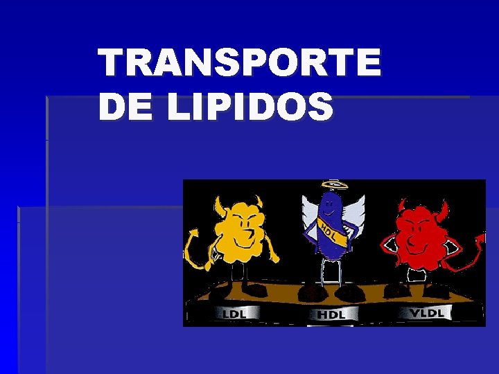 TRANSPORTE DE LIPIDOS 