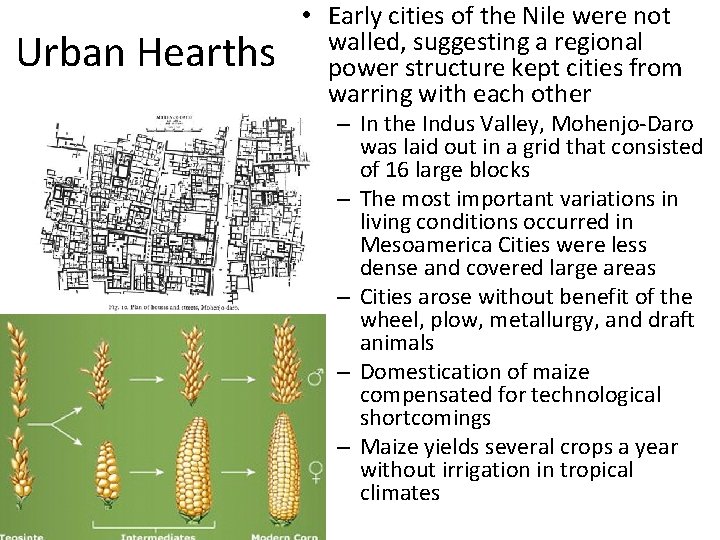Urban Hearths • Early cities of the Nile were not walled, suggesting a regional