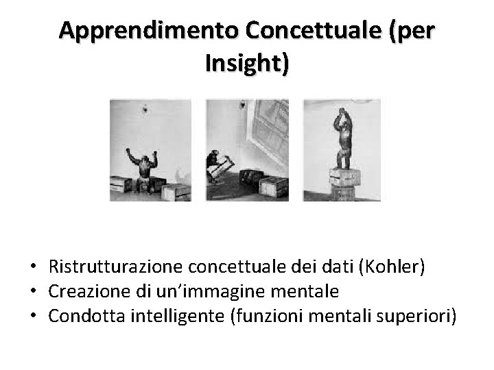 Apprendimento Concettuale (per Insight) • Ristrutturazione concettuale dei dati (Kohler) • Creazione di un’immagine