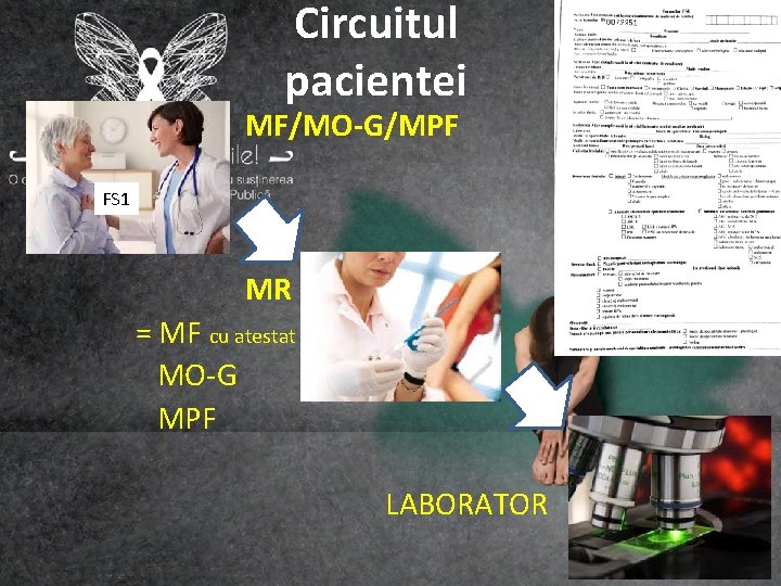  • Circuitul pacientei USP MF/MO-G/MPF FS 1 MR = MF cu atestat MO-G