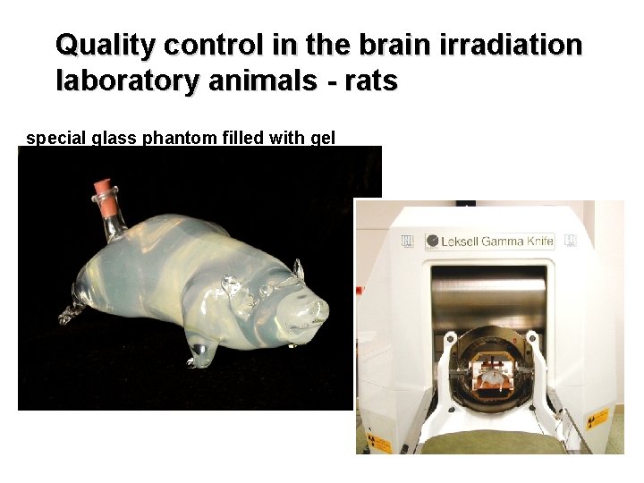 Quality control in the brain irradiation laboratory animals - rats special glass phantom filled