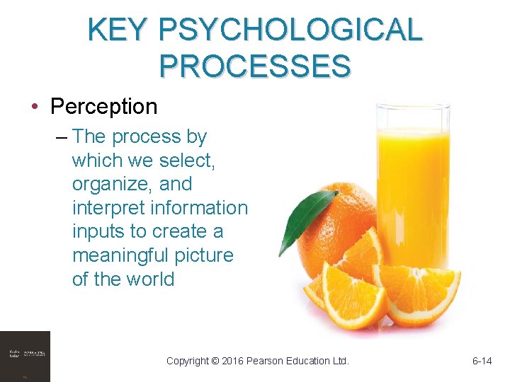 KEY PSYCHOLOGICAL PROCESSES • Perception – The process by which we select, organize, and