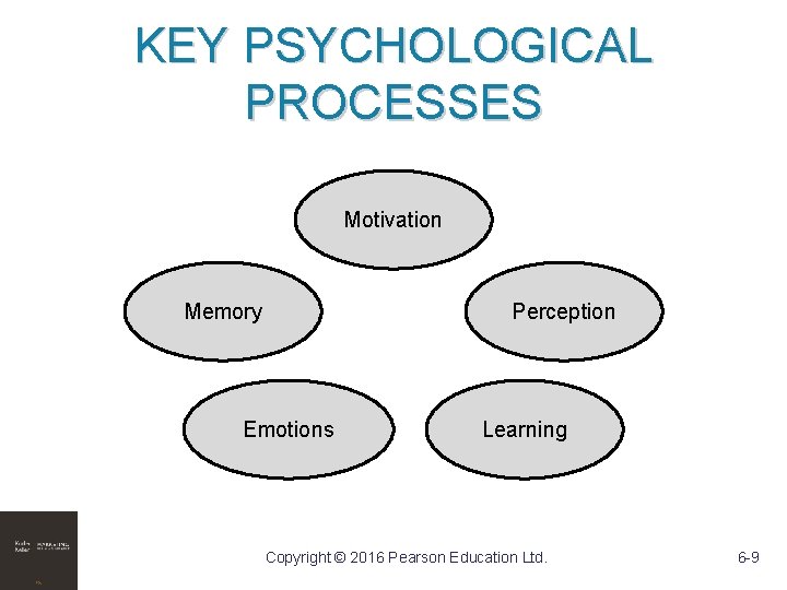 KEY PSYCHOLOGICAL PROCESSES Motivation Memory Perception Emotions Learning Copyright © 2016 Pearson Education Ltd.