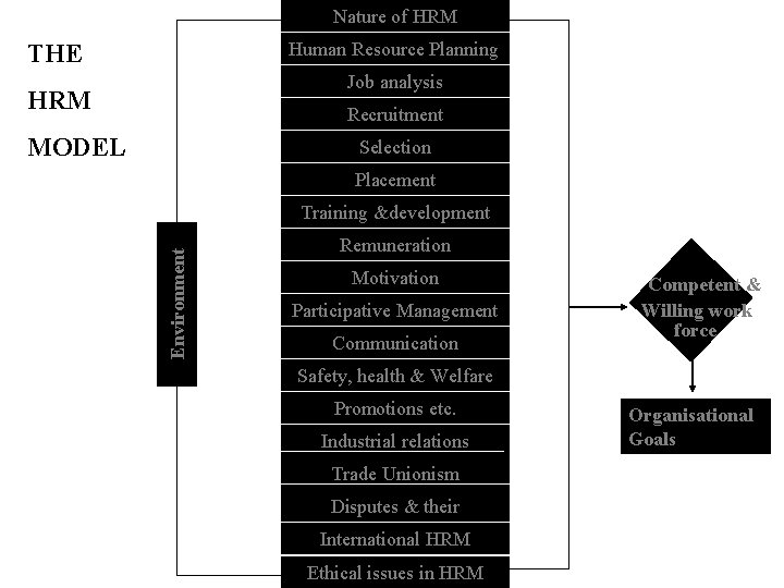Nature of HRM Human Resource Planning THE Job analysis HRM Recruitment MODEL Selection Placement Nature of HRM Human Resource Planning THE Job analysis HRM Recruitment MODEL Selection Placement