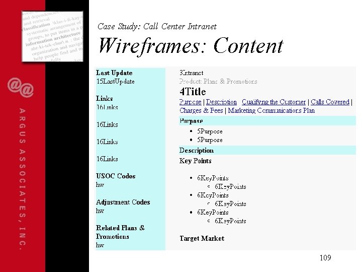 Case Study: Call Center Intranet Wireframes: Content 109 