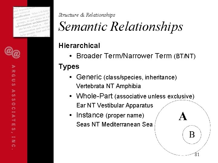 Structure & Relationships Semantic Relationships Hierarchical • Broader Term/Narrower Term (BT/NT) Types • Generic