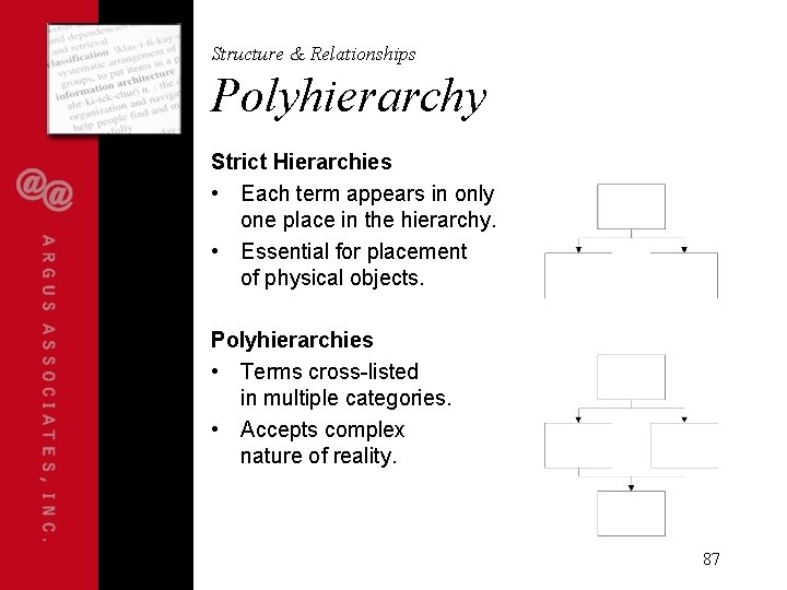 Structure & Relationships Polyhierarchy Strict Hierarchies • Each term appears in only one place