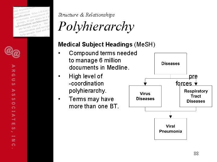 Structure & Relationships Polyhierarchy Medical Subject Headings (Me. SH) • Compound terms needed to