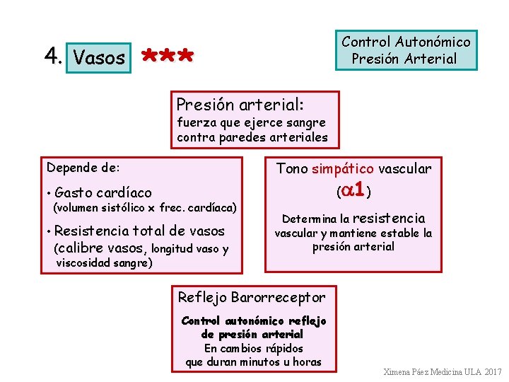4. Vasos Control Autonómico Presión Arterial *** Presión arterial: fuerza que ejerce sangre contra