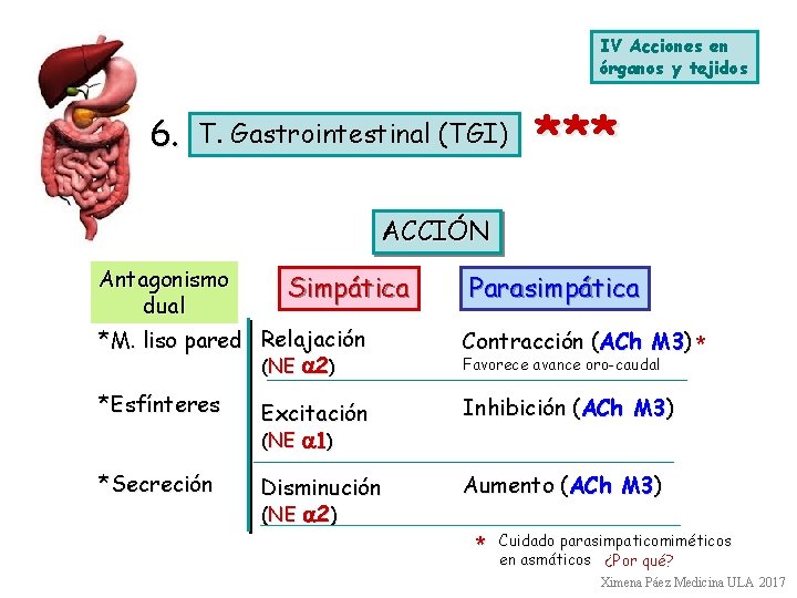 IV Acciones en órganos y tejidos 6. T. Gastrointestinal (TGI) *** ACCIÓN Antagonismo dual
