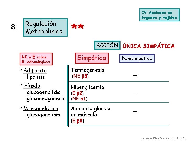8. Regulación Metabolismo IV Acciones en órganos y tejidos ** ACCIÓN ÚNICA SIMPÁTICA NE