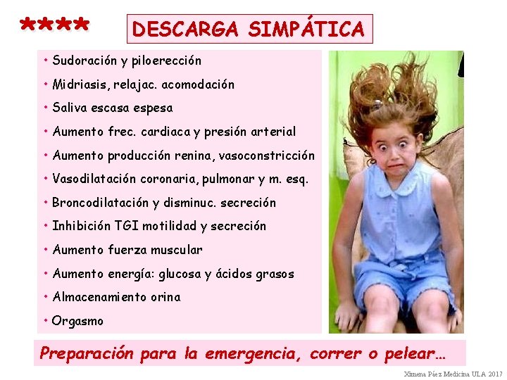 **** DESCARGA SIMPÁTICA • Sudoración y piloerección • Midriasis, relajac. acomodación • Saliva escasa