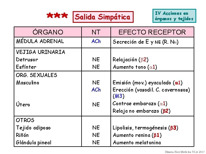 *** Salida Simpática IV Acciones en órganos y tejidos ÓRGANO NT MÉDULA ADRENAL ACh