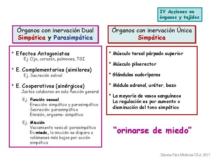 IV Acciones en órganos y tejidos Órganos con inervación Dual Simpática y Parasimpática •