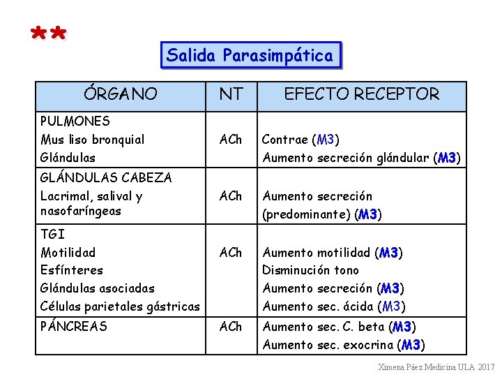 ** Salida Parasimpática ÓRGANO NT EFECTO RECEPTOR PULMONES Mus liso bronquial Glándulas ACh Contrae