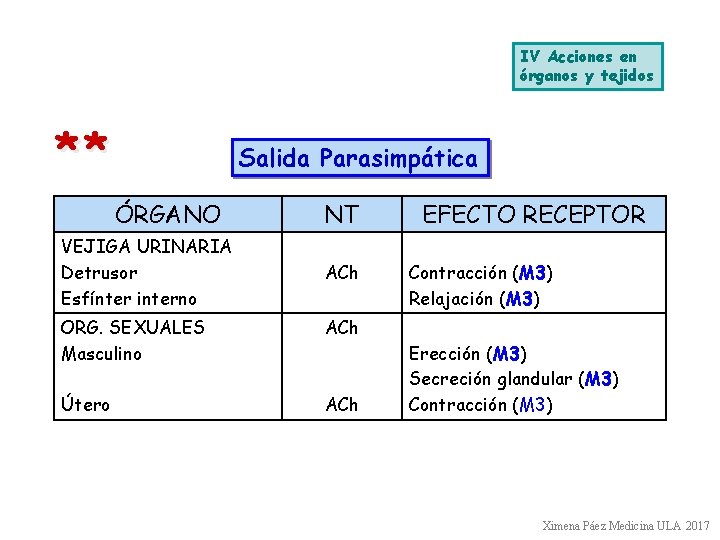 IV Acciones en órganos y tejidos ** Salida Parasimpática ÓRGANO VEJIGA URINARIA Detrusor Esfínter