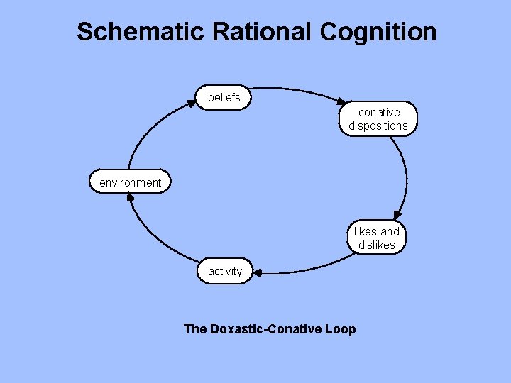 Schematic Rational Cognition beliefs conative dispositions environment likes and dislikes activity The Doxastic-Conative Loop