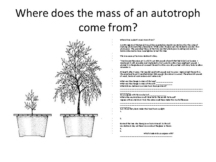 Where does the mass of an autotroph come from? • • • • •