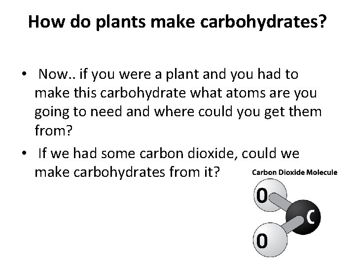 How do plants make carbohydrates? • Now. . if you were a plant and