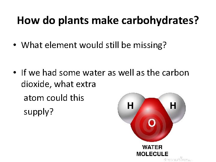 How do plants make carbohydrates? • What element would still be missing? • If