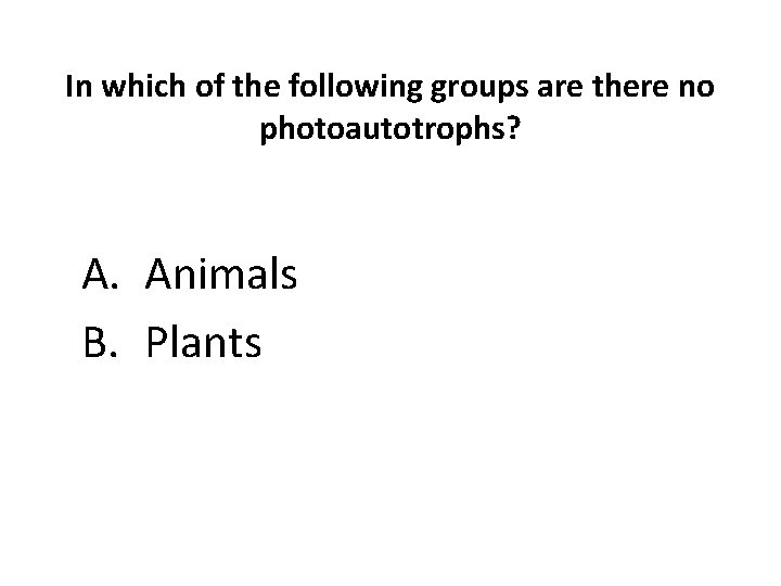 In which of the following groups are there no photoautotrophs? A. Animals B. Plants