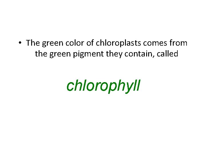  • The green color of chloroplasts comes from the green pigment they contain,