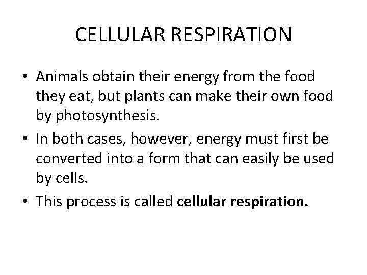 CELLULAR RESPIRATION • Animals obtain their energy from the food they eat, but plants