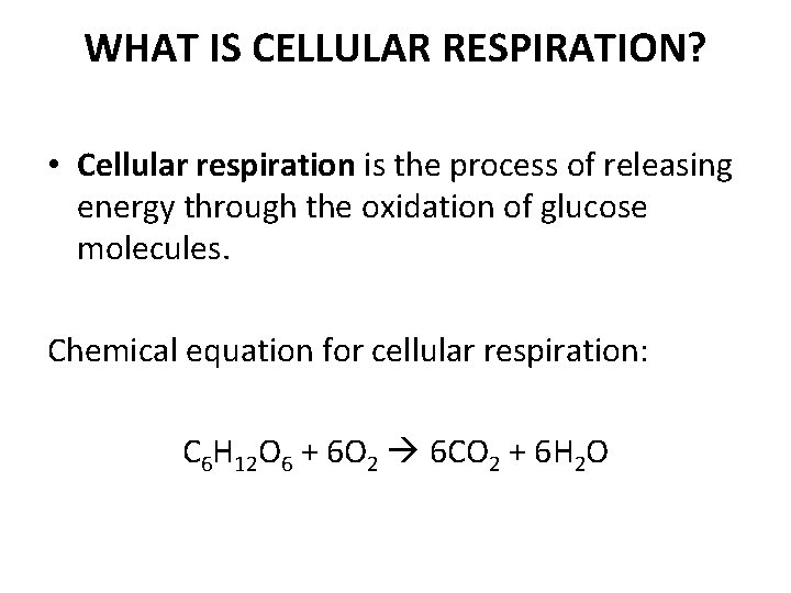 WHAT IS CELLULAR RESPIRATION? • Cellular respiration is the process of releasing energy through