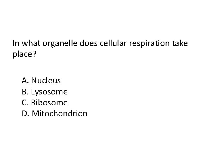 In what organelle does cellular respiration take place? A. Nucleus B. Lysosome C. Ribosome