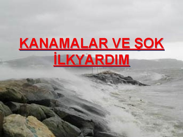 KANAMALAR VE ŞOK İLKYARDIM 