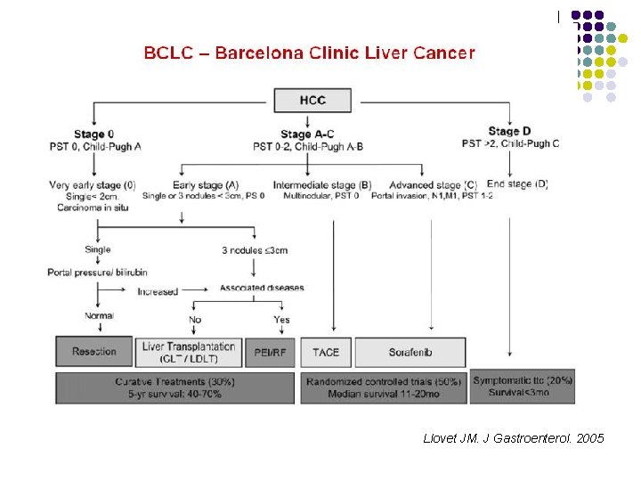 Llovet JM. J Gastroenterol. 2005 