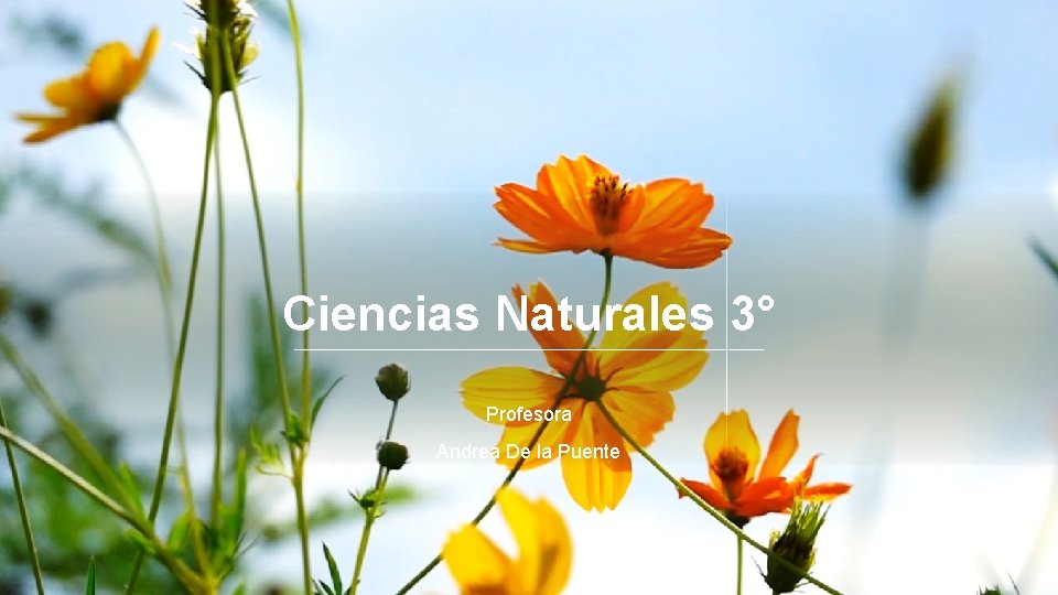 Ciencias Naturales 3° Profesora Andrea De la Puente 