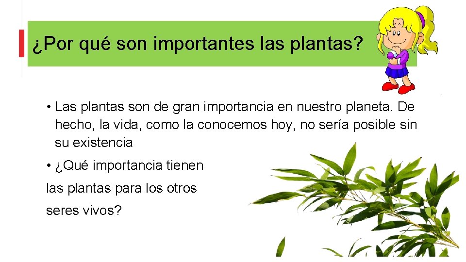 ¿Por qué son importantes las plantas? • Las plantas son de gran importancia en