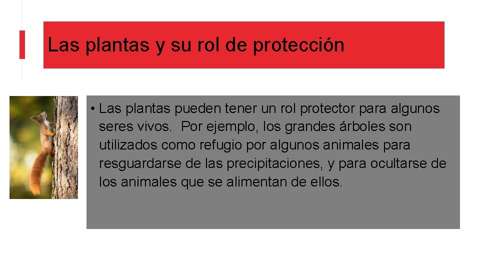 Las plantas y su rol de protección • Las plantas pueden tener un rol