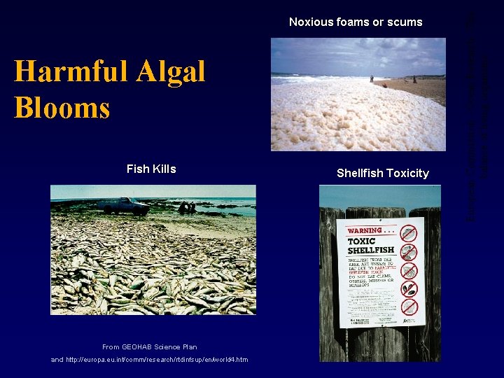 Harmful Algal Blooms Fish Kills From GEOHAB Science Plan and http: //europa. eu. int/comm/research/rtdinfsup/en/world